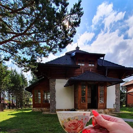 Vila Panic Zlatibor Bagian luar foto