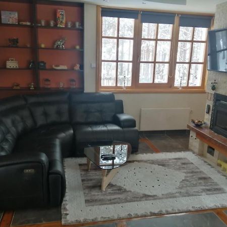 Vila Panic Zlatibor Bagian luar foto