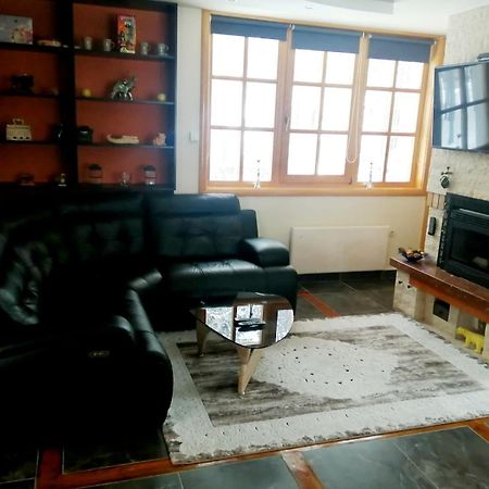 Vila Panic Zlatibor Bagian luar foto