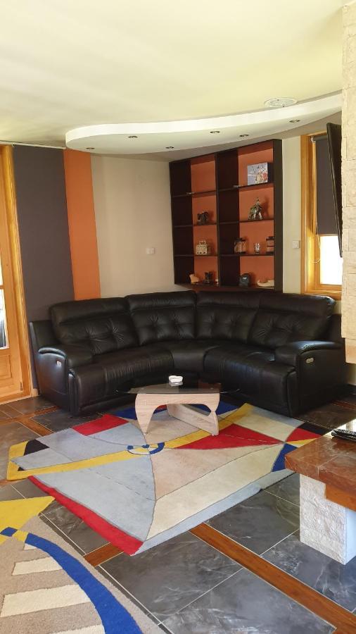 Vila Panic Zlatibor Bagian luar foto