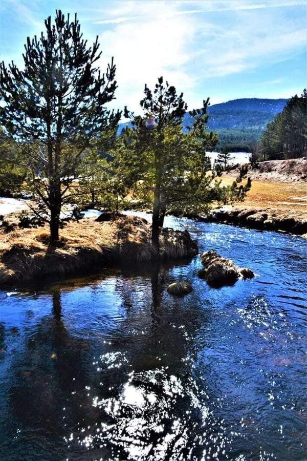 Vila Panic Zlatibor Bagian luar foto