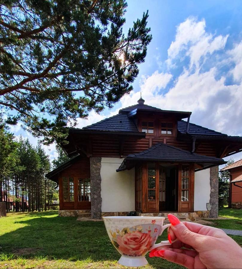 Vila Panic Zlatibor Bagian luar foto