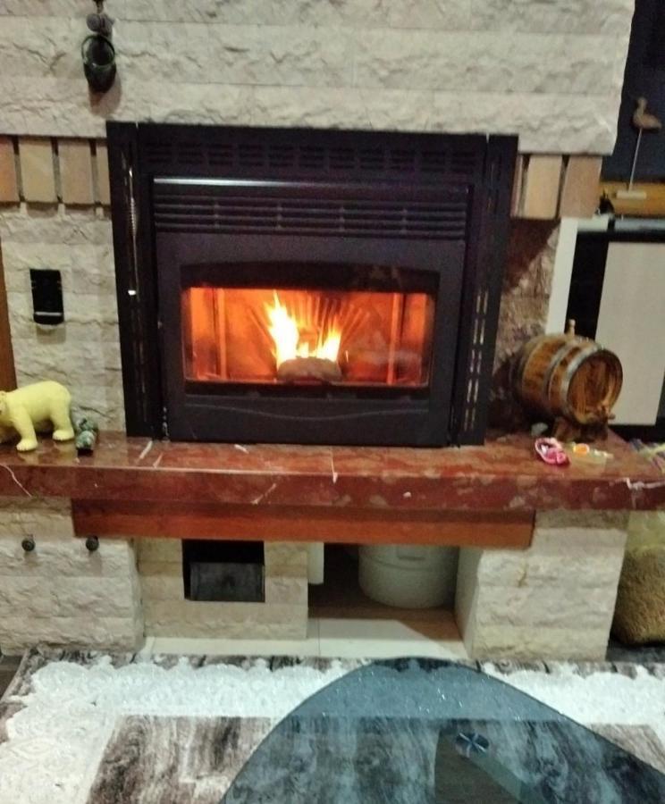 Vila Panic Zlatibor Bagian luar foto