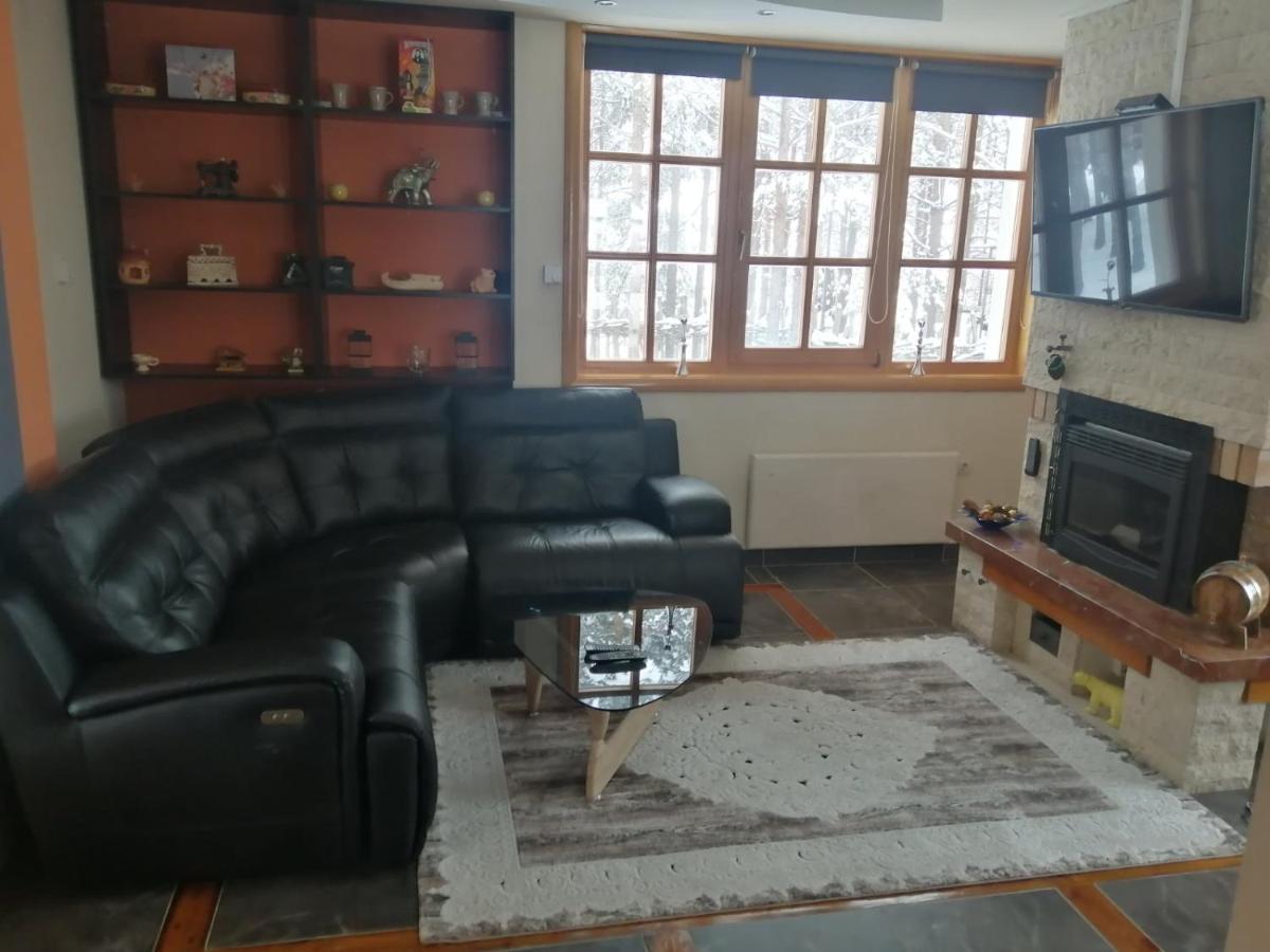 Vila Panic Zlatibor Bagian luar foto