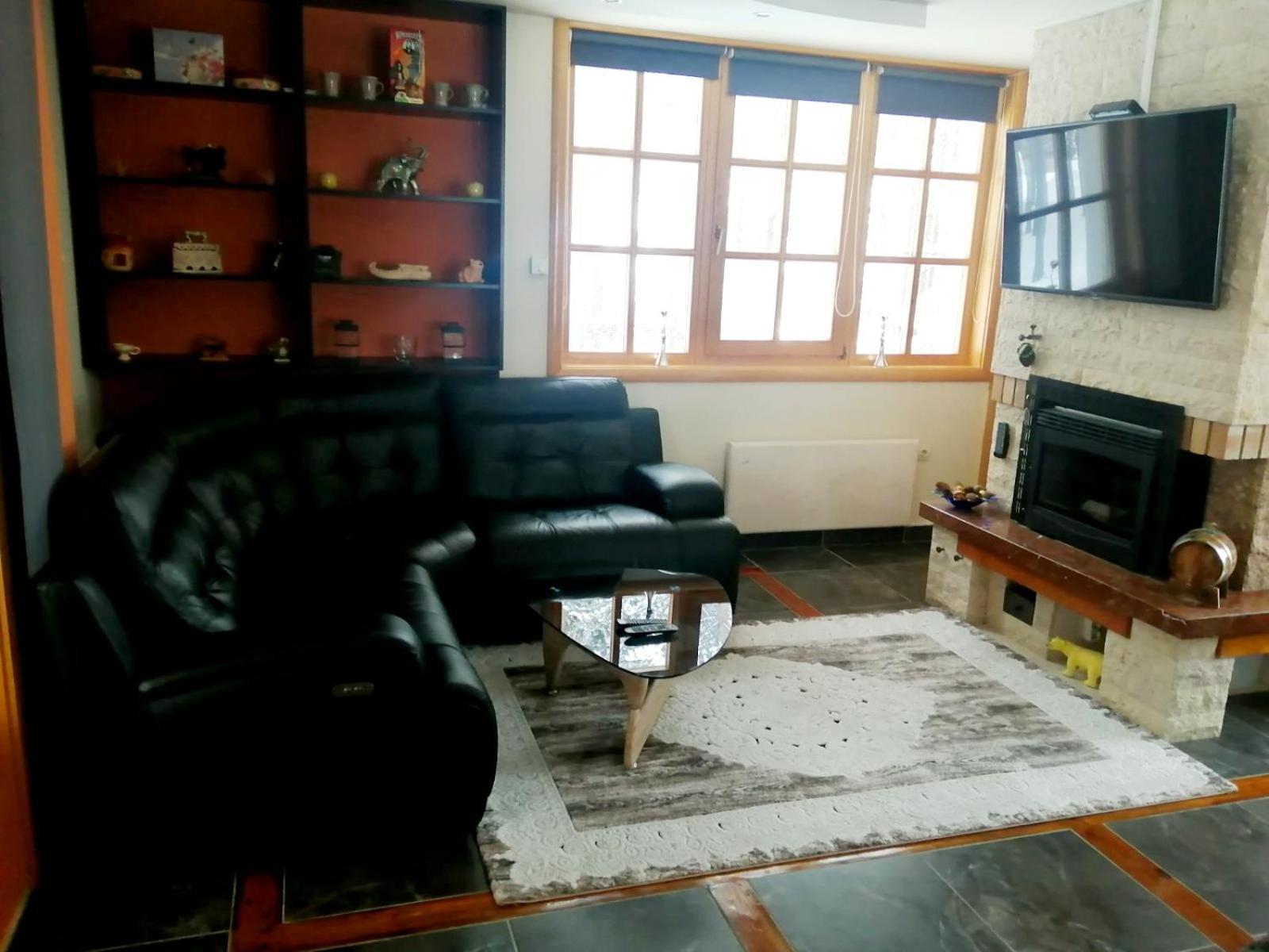 Vila Panic Zlatibor Bagian luar foto