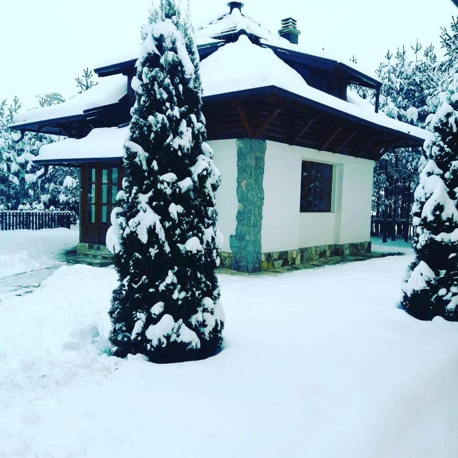 Vila Panic Zlatibor Bagian luar foto
