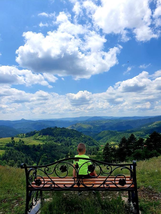 Vila Panic Zlatibor Bagian luar foto