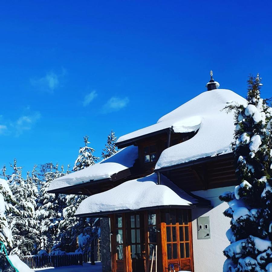 Vila Panic Zlatibor Bagian luar foto